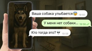 смайл дог приходит ночью