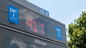 Убийственный зной. Более 4 тыс. человек стали жертвами жары в Европе