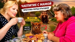 МЕДВЕДЬ В ПОСЁЛКЕ! Чаепитие с мамой… Цветик бастует 😱