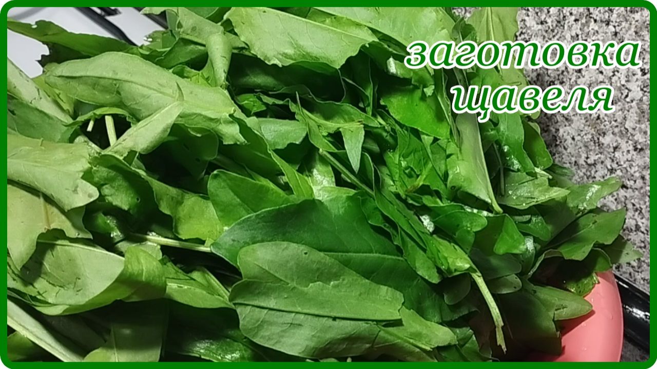 ЗАГОТОВКИ НА ЗИМУ