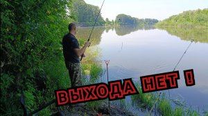 ПО НАВОДКЕ ДЕДА ПОЕХАЛИ ЗА КИЛОГРАММОВОЙ ГУСТЕРОЙ