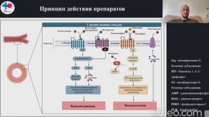 Кардиогенный шок Щепарев И.С.