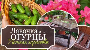 Летние дневники: Лавочка для сада! И немного ОГУРЦОВ! - Летняя зарисовка
