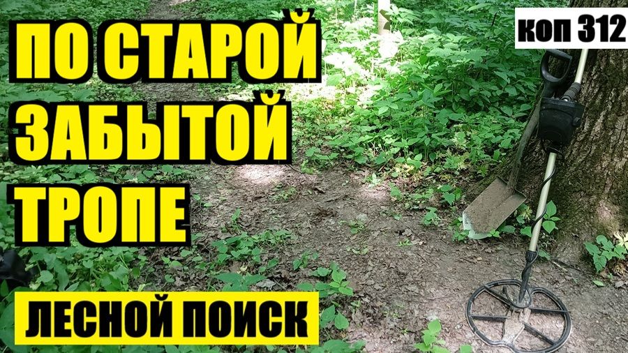 ПОТЕРЯШКИ РАЗНЫХ ЭПОХ! ЧТО ОСТАВИЛИ ПОСЛЕ СЕБЯ ЦАРСКИЕ СОЛДАТЫ И СОВЕТСКИЕ ГАРНИЗОНЫ? . коп 312 смотреть онлайн