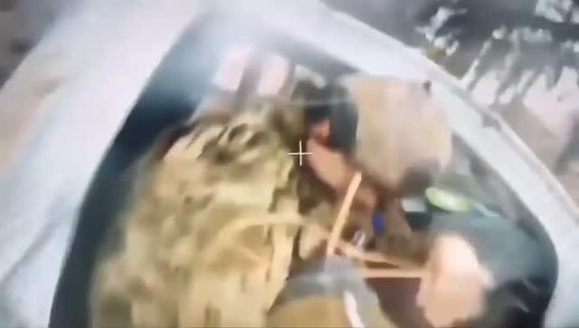 В репу и контрольный