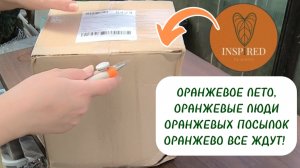 ОРАНЖЕВАЯ ПОСЫЛКА С КРЫЛАТКОЙ-ЗЕБРОЙ ! 🐡 🥰🪴 04-07-2026