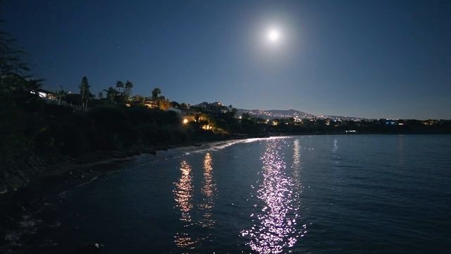 Nezon - Moonlight Serenade 🌙 смотреть онлайн