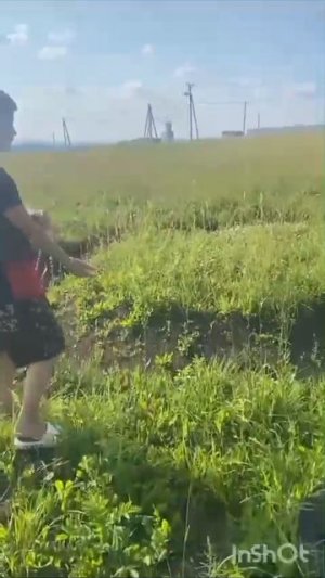 трасса