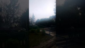 стримм сбор денег для др общение