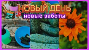 Измельчитель веток. Жизнь в СНТ. Тюмень.
