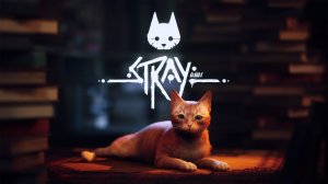 Stray( начало)