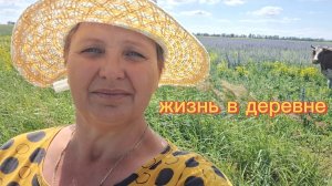О жизни Деревенской без Прикрас