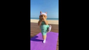 НЕЙРОСЕТЬ ВИДЕО