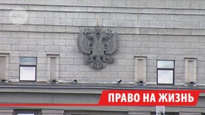 Губернатор Прибайкалья подписал закон, который допускает умерщвление бездомных собак