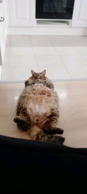 призыв монстров