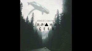 STED.D - Саспенс