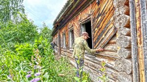 Один дом чиним, а другой ломаем. Готовим чаи к продаже. Труд, жизнь и гости в деревне