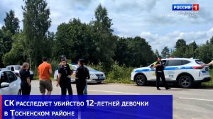 СК расследует убийство 12-летней девочки в Тосненском районе