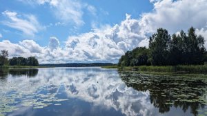 Летние пейзажи художника Алексея Плешкова