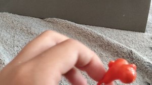 что внутри бомбочки но бомбочку я распарил  а в  капсуле?