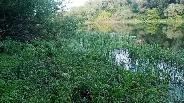 Рыбалка на Хопре.mp4 смотреть онлайн