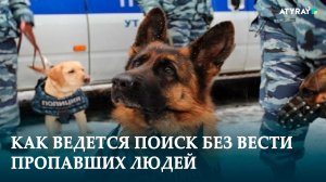 КАК ВЕДЕТСЯ ПОИСК БЕЗ ВЕСТИ ПРОПАВШИХ ЛЮДЕЙ