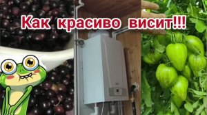 04.07.2026 Монтаж газового котла завершен, ура! Дождик намекает, что надо бы отдохнуть)