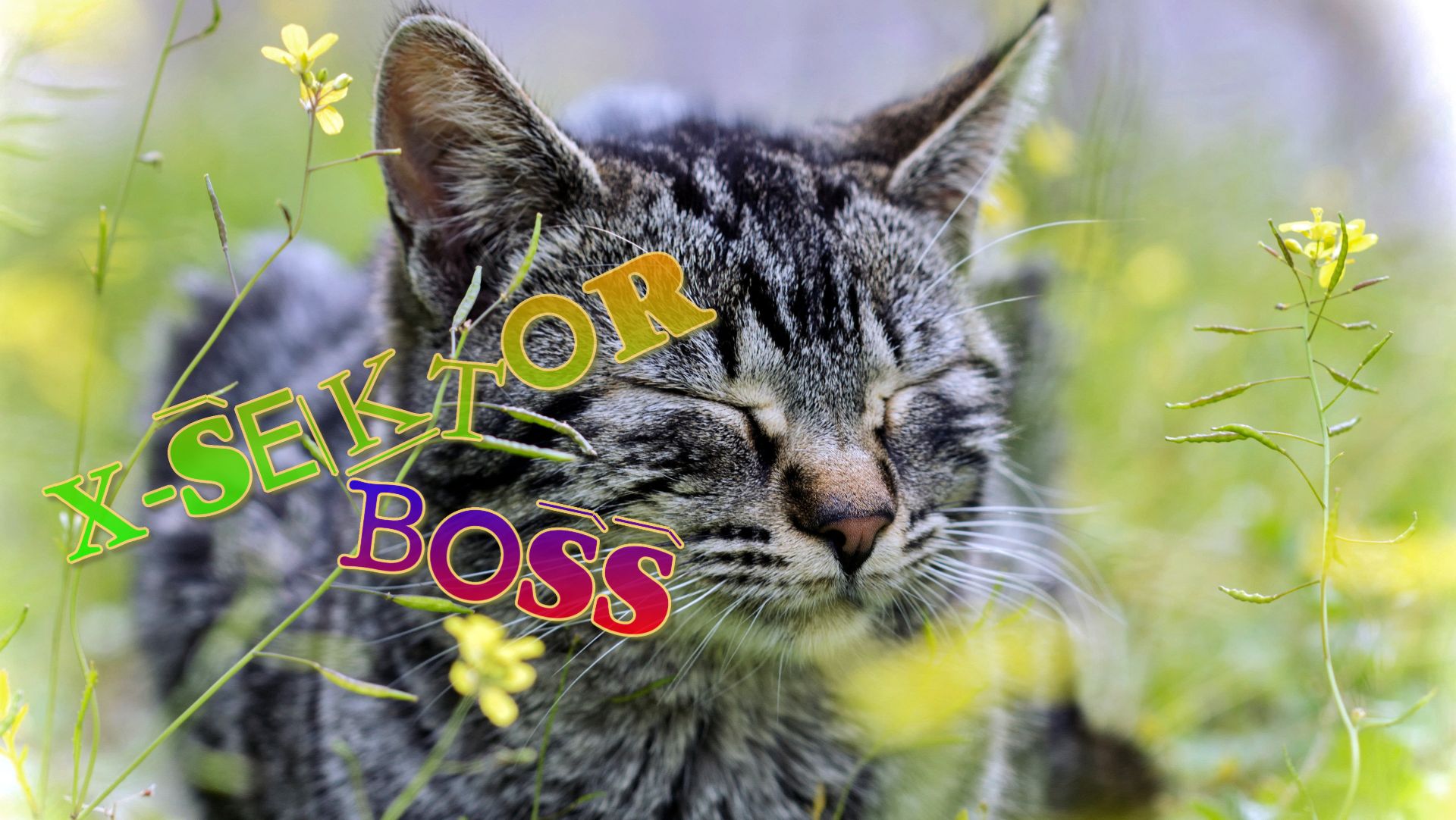 X-SektorBoss 251 - НеНаТо Жизнь тратимребята