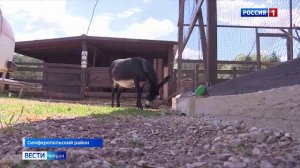 Когда гаснет свет в домах жителей полуострова, жизнь не останавливается — она просто перестраивается