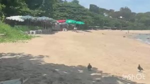 ТАЙЛАНД. ПАТТАЙЯ. МОРЕ. ПЛЯЖ