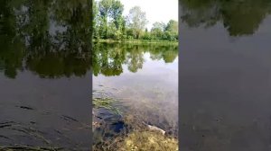 04-07-2026