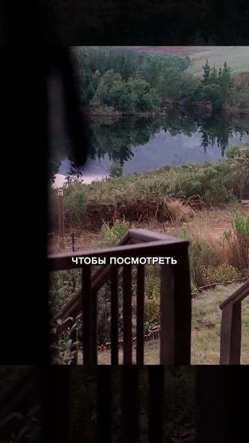 🔥 Кино без лишних слов ⏱️🎥🧠 смотреть онлайн