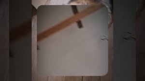 1000063381.mp4 (Собака смотрит на пвх короба для устройства вытяжной вентиляции в доме А-фрейм)
