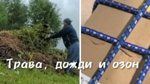 То траву собираю, то посылку на озоне получаю.