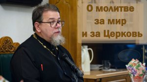 О молитве за мир и за Церковь. Беседа о. Константина Корепанова в Снетогорском монастыре (30.6.2026)