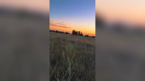 Закатное Поле Сверкает Хит