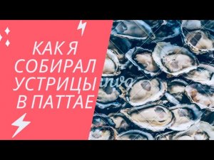 ЧАСТЬ ВТОРАЯ, КАК Я В ПАТТАЕ ДОБЫВАЛ УСТРИЦЫ!