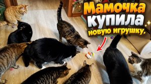 Мамочка купила новую игрушку.