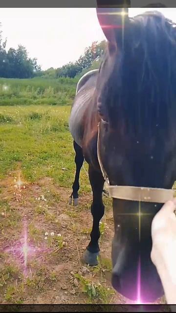 1000054423.mp4