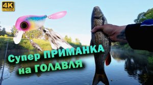 Перекат зарос травой, но я остался - и вот результат!