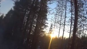 ДЕРНУЛИ НЕВОДОМ НОЧЬЮ.ЗАСОЛКА РЫБЫ ПО КАРЕЛЬСКИ СДАЛИ МЕТАЛЛОЛОМ.И