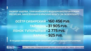 В кузбасском заказнике Салтымаковский поймали браконьеров