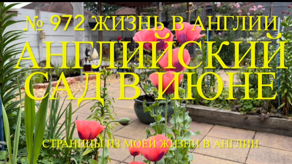 Английский сад в июне. № 972 Жизнь в Англии смотреть онлайн