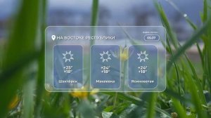 🌤 Доброе утро!