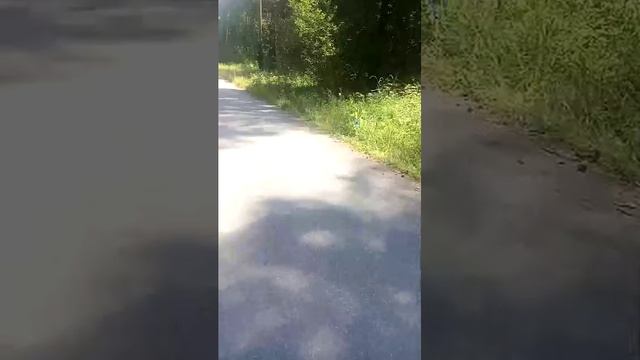 стрим прогулка всем привет