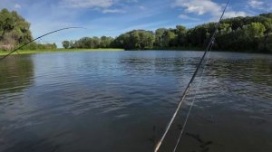 24.06.2026 ловили окуней и щурков на вертушку