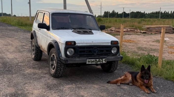 НИВА смотреть онлайн