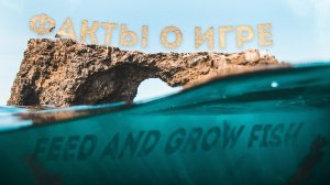 Краткий обзор | Feed and grow fish