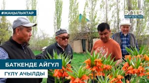 БАТКЕНДЕ АЙГҮЛ ГҮЛҮ АЧЫЛДЫ