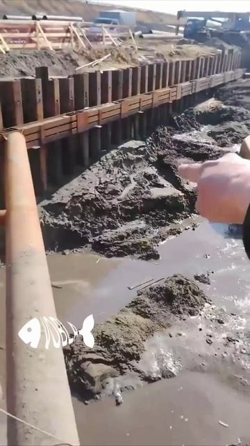 Дурака учить — что мертвого лечить смотреть онлайн